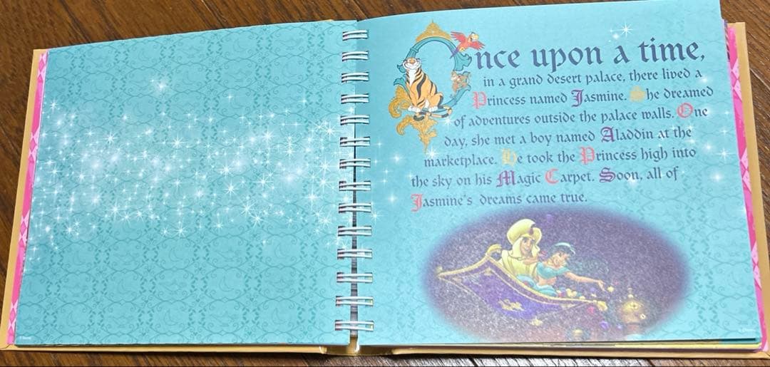 ディズニー　プリンセス　Autograph Book サイン帳　アルバム