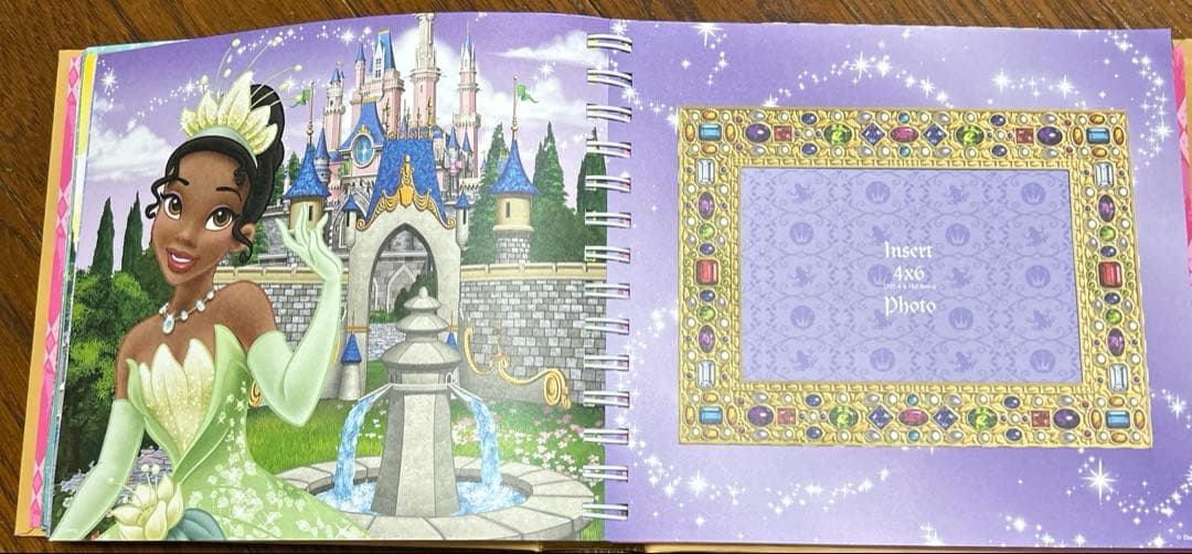 ディズニー　プリンセス　Autograph Book サイン帳　アルバム