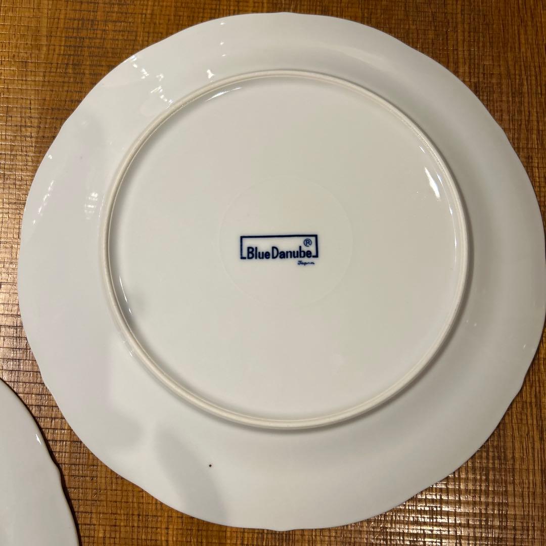 ブルーダニューブ大皿26cm 2枚 サラダボウル　2枚