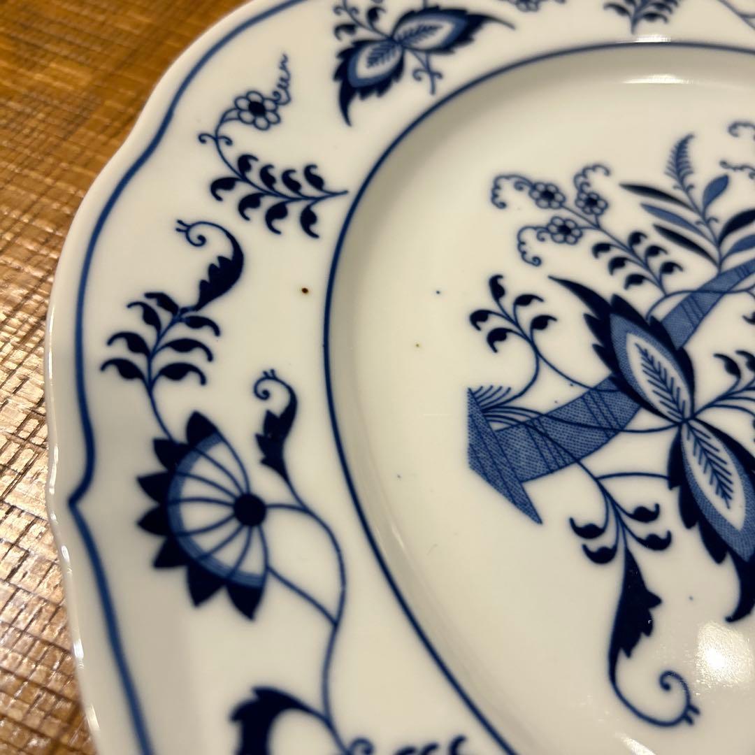 ブルーダニューブ大皿26cm 2枚 サラダボウル　2枚