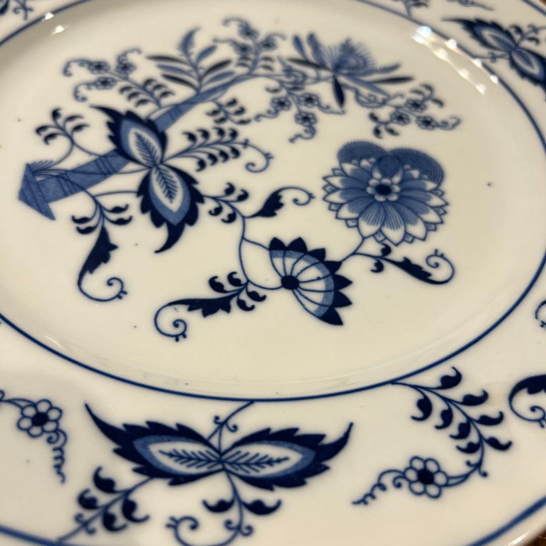 ブルーダニューブ大皿26cm 2枚 サラダボウル　2枚