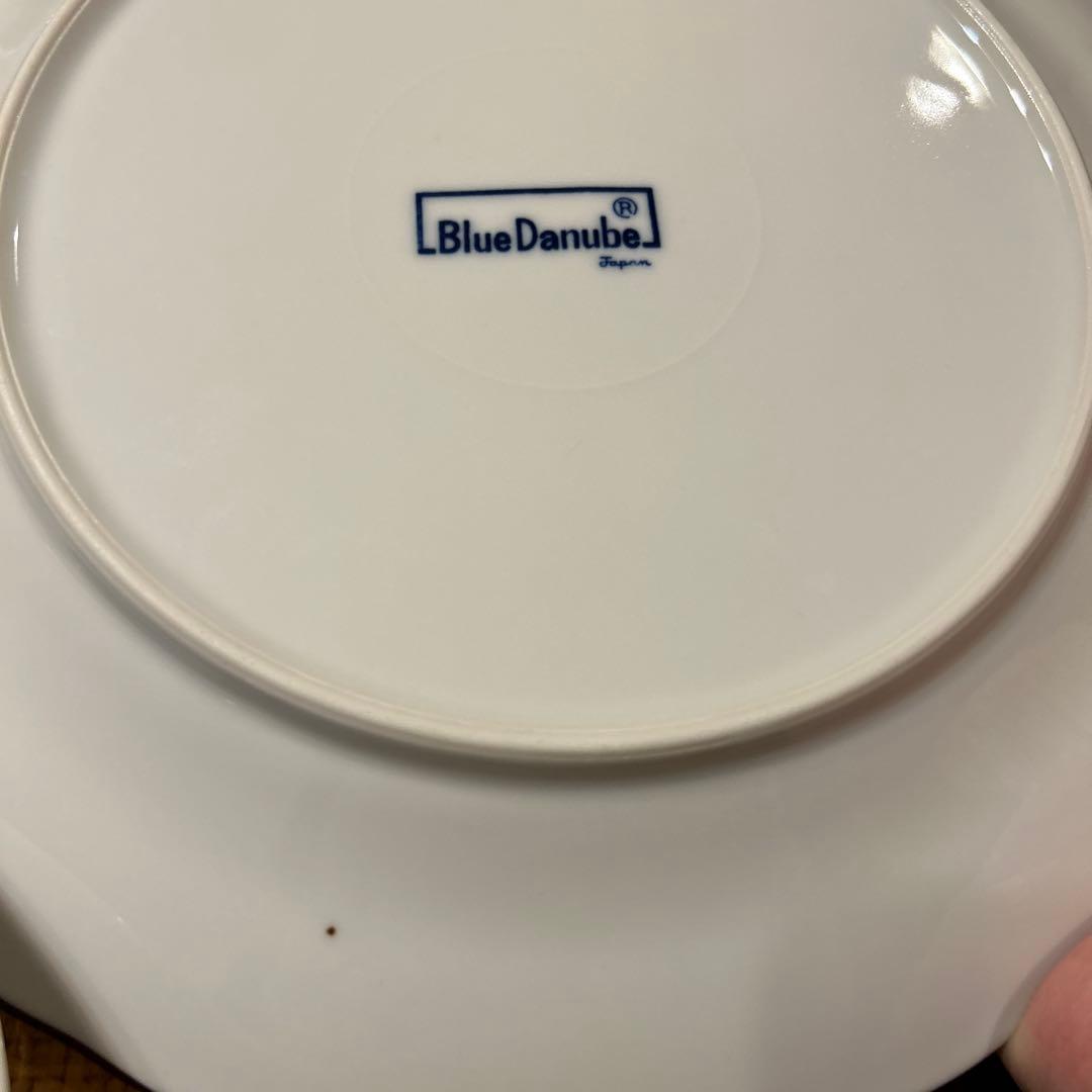 ブルーダニューブ大皿26cm 2枚 サラダボウル　2枚