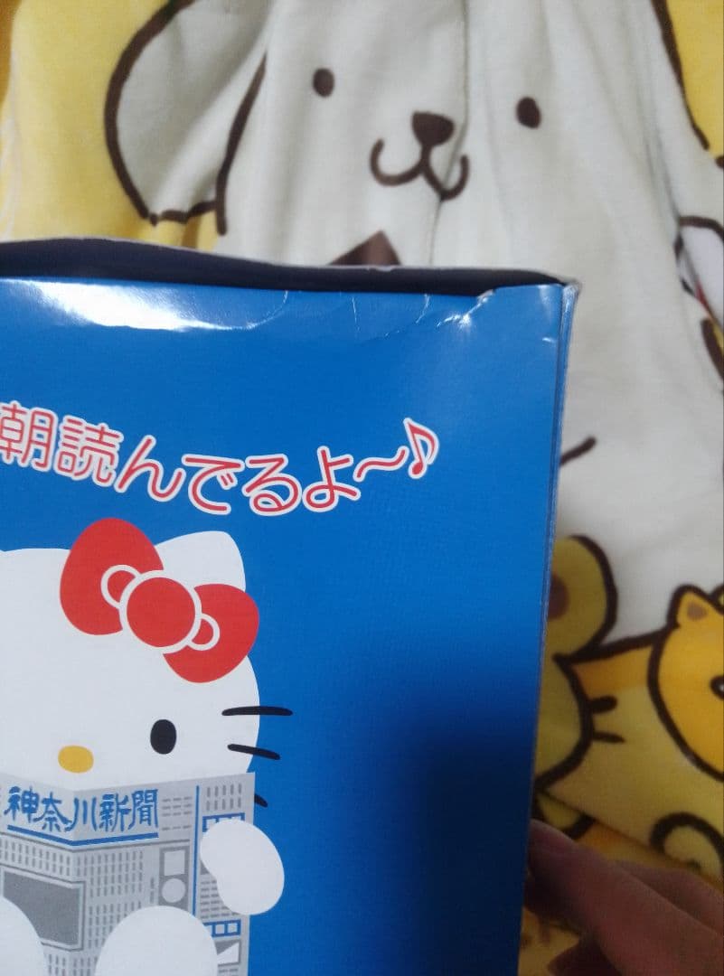 【希少】ハローキティ ぬいぐるみ 神奈川新聞 限定品 サンリオ