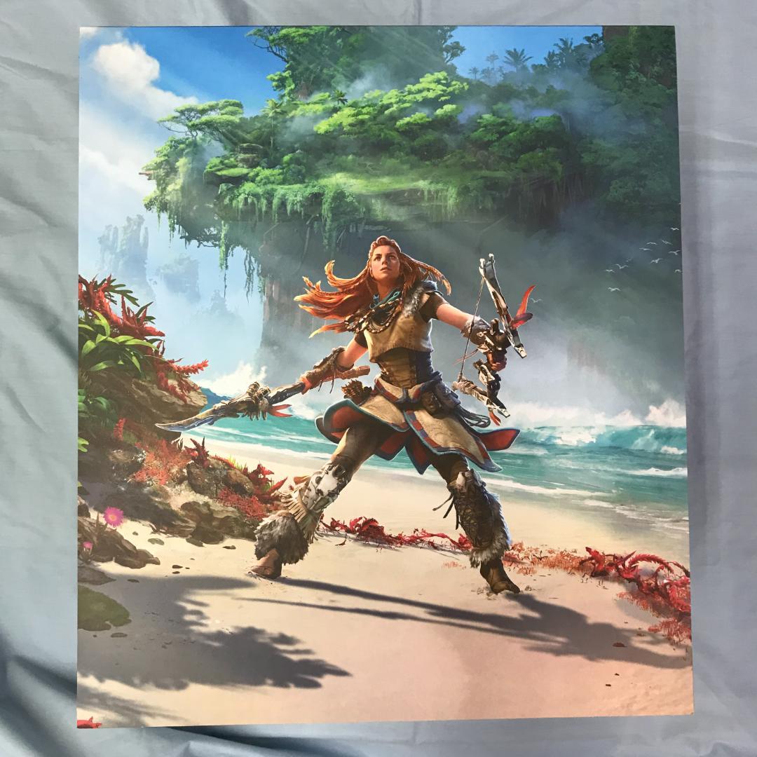 特典のみ Horizon Forbidden West コレクターズエディション