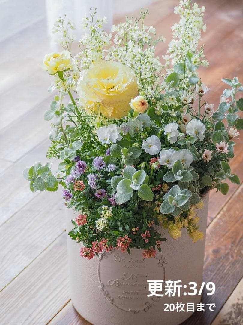 【SALE】春の陽だまり ❁⃘*.゜寄せ植え（大）