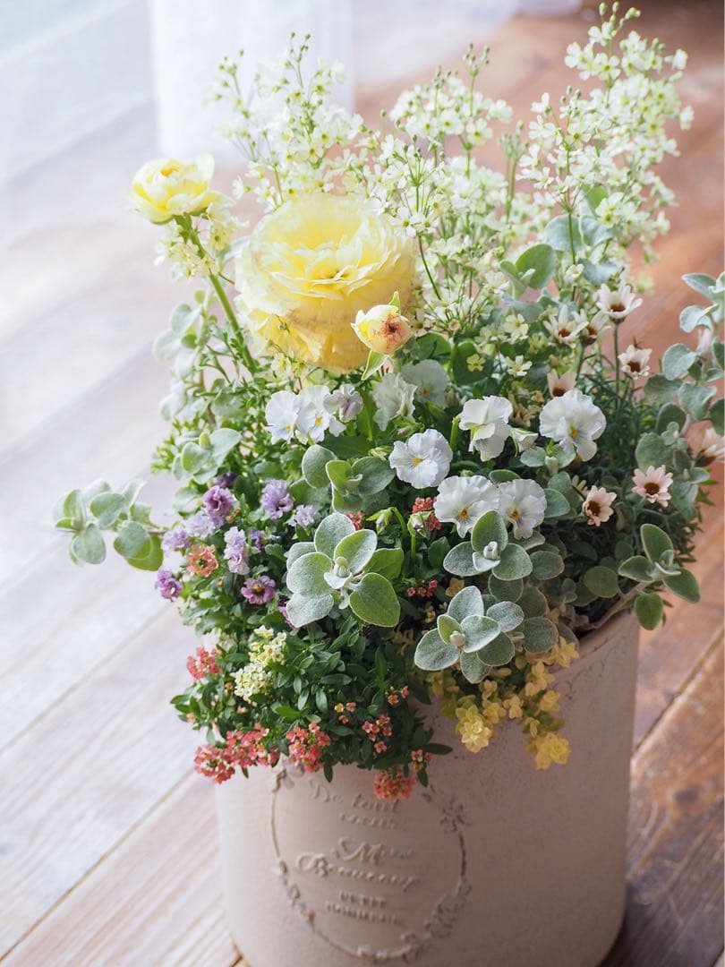 【SALE】春の陽だまり ❁⃘*.゜寄せ植え（大）