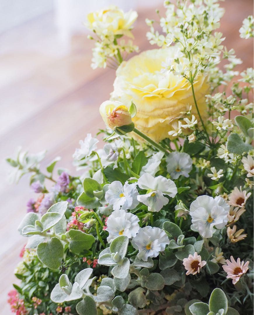 【SALE】春の陽だまり ❁⃘*.゜寄せ植え（大）