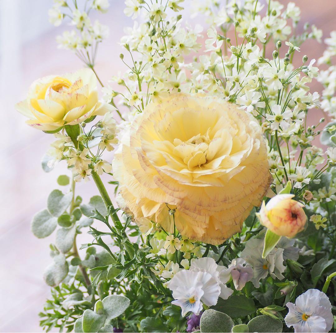 【SALE】春の陽だまり ❁⃘*.゜寄せ植え（大）