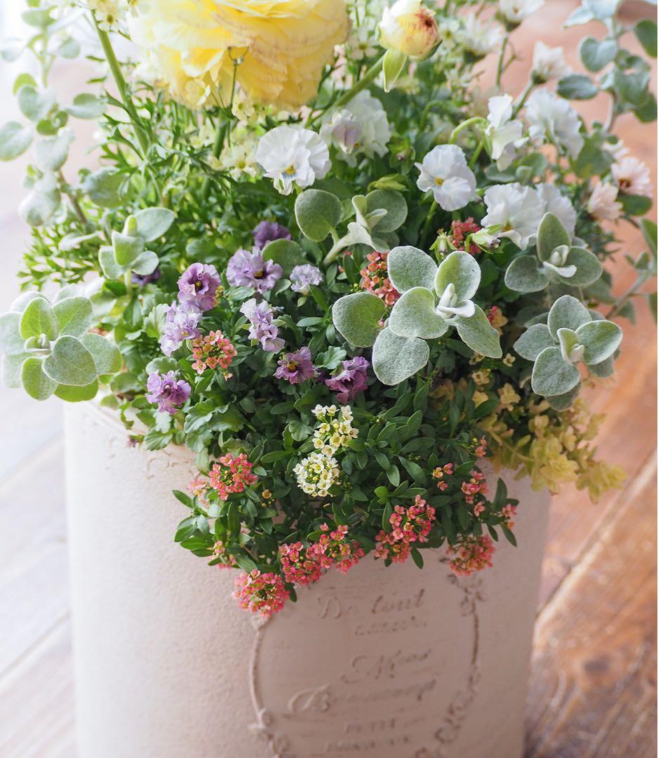 【SALE】春の陽だまり ❁⃘*.゜寄せ植え（大）