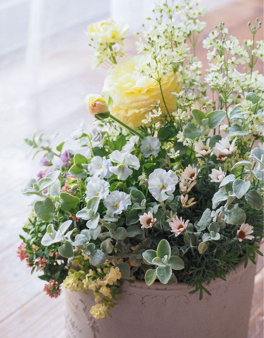 【SALE】春の陽だまり ❁⃘*.゜寄せ植え（大）