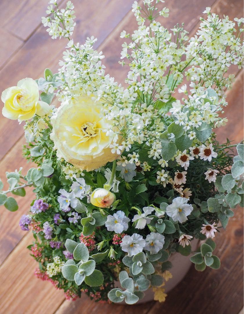 【SALE】春の陽だまり ❁⃘*.゜寄せ植え（大）