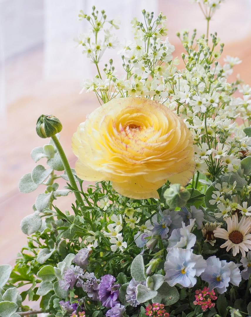 【SALE】春の陽だまり ❁⃘*.゜寄せ植え（大）