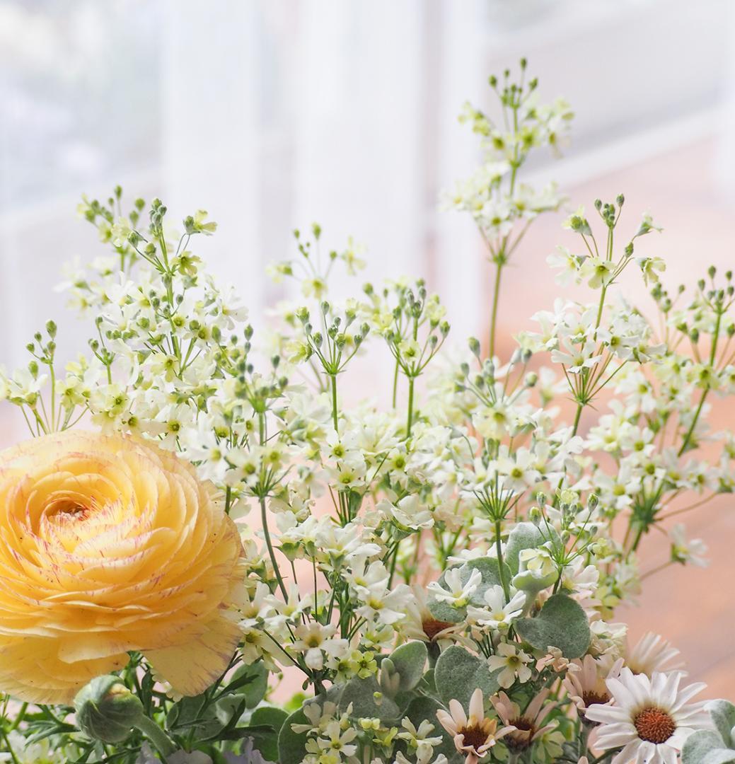 【SALE】春の陽だまり ❁⃘*.゜寄せ植え（大）