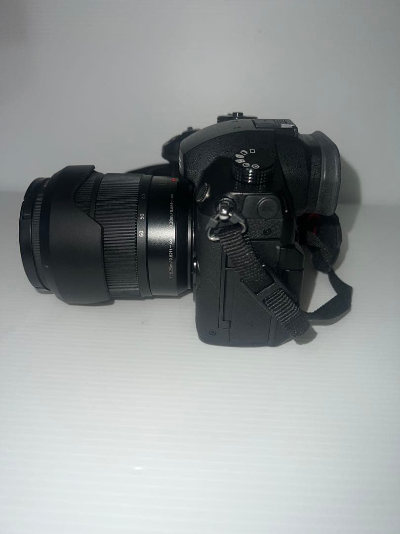 LUMIX GH5 ミラーレスカメラ 本体