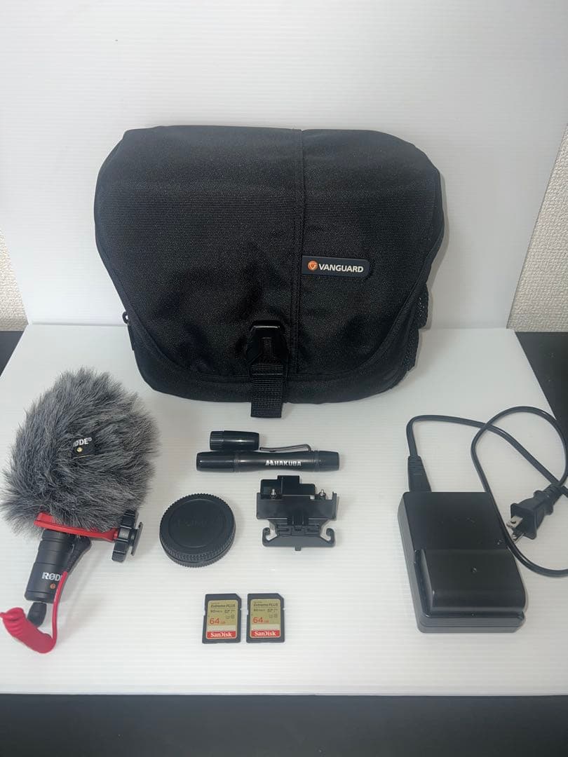 LUMIX GH5 ミラーレスカメラ 本体