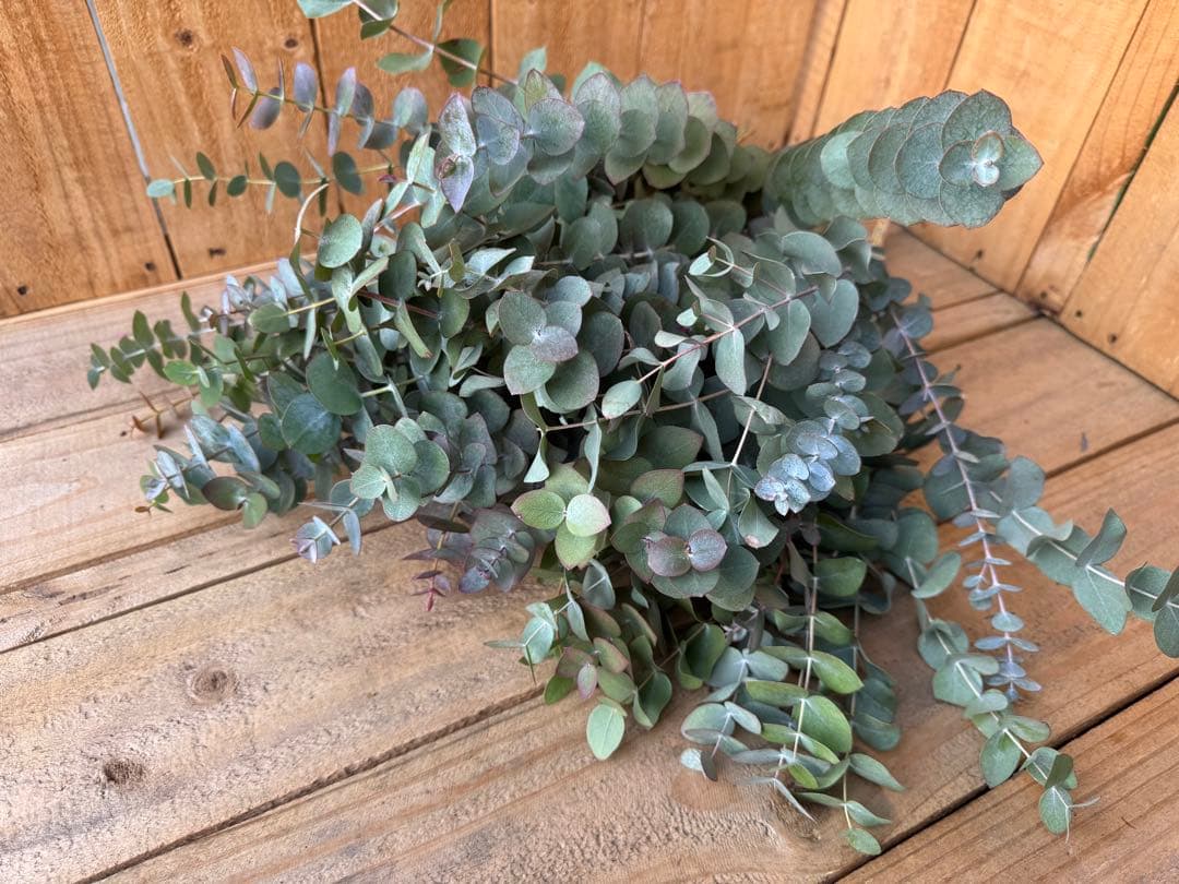 Marche様 リクエスト 2点 まとめ商品