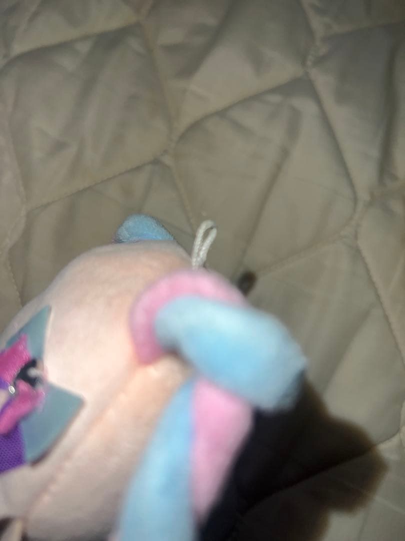 【レア】ニディガ ぬいぐるみキーチェーン 超てんちゃん 夢展望