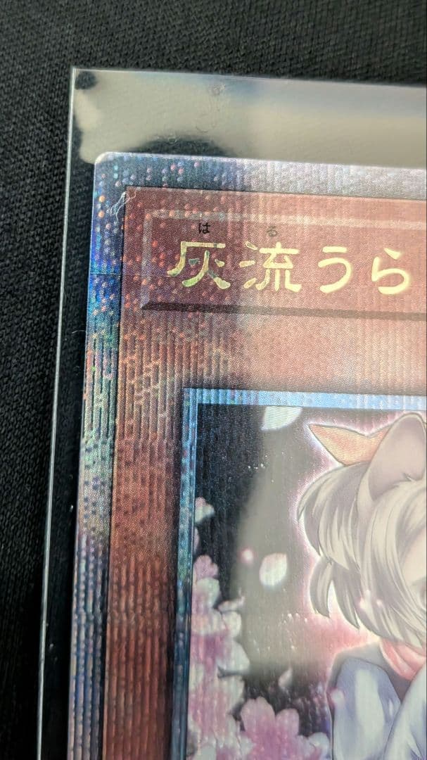 遊戯王　灰流うらら　25th