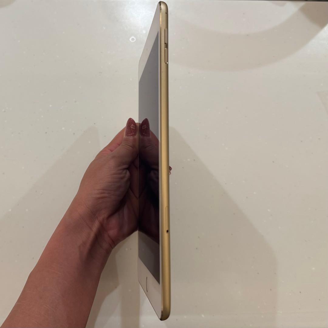 iPad mini4 第4世代 128GB セルラー docomo 美品