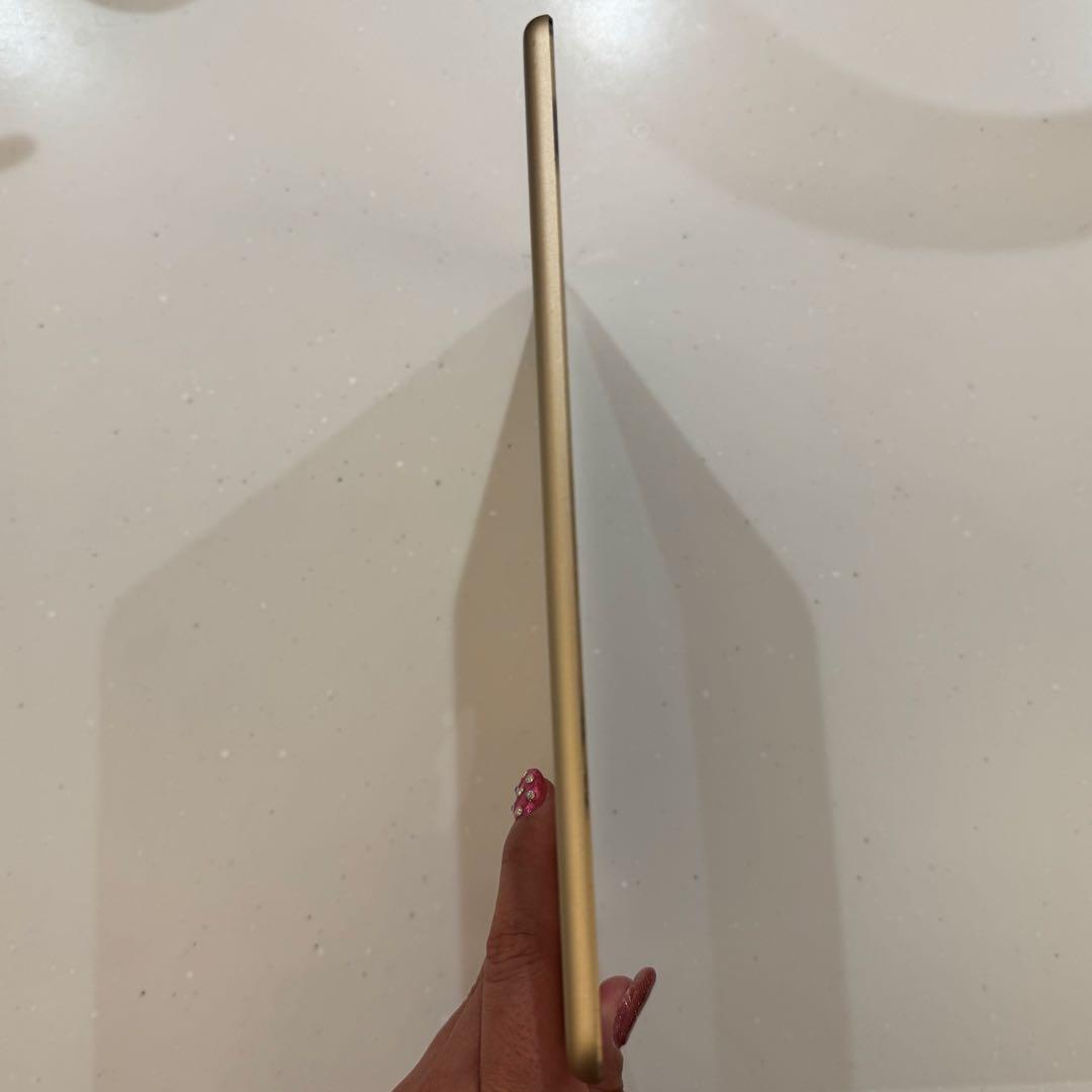 iPad mini4 第4世代 128GB セルラー docomo 美品