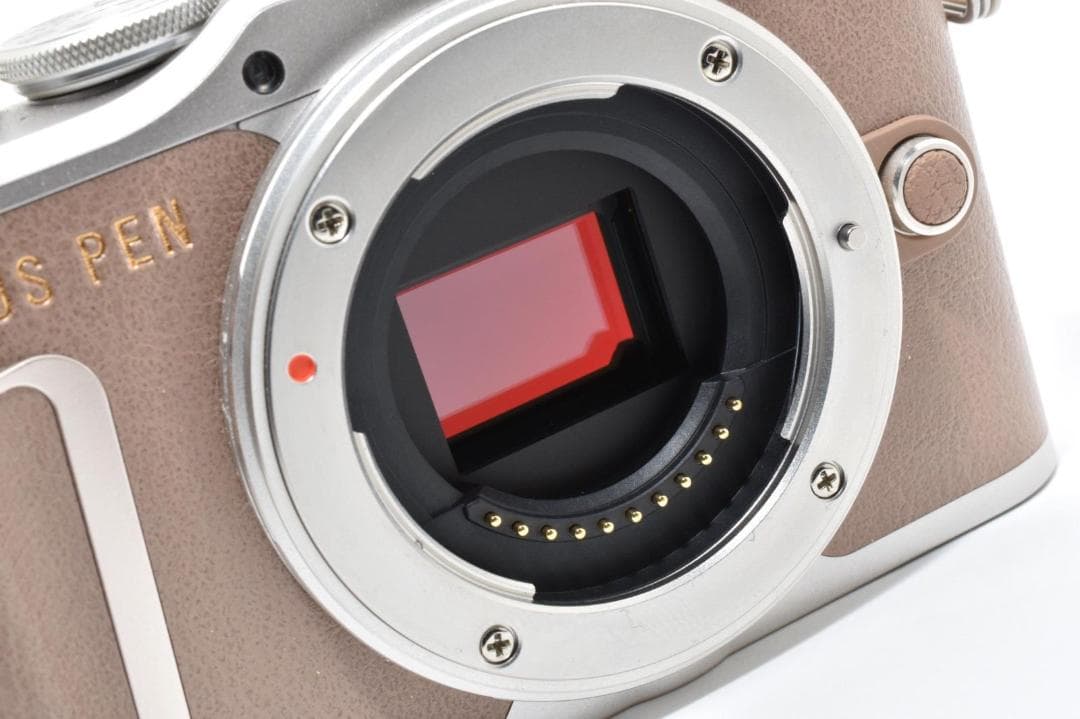 ショット数 660回！ OLYMPUS PEN E-PL10 ダブルレンズ