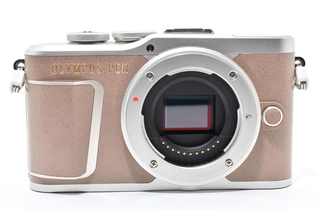 ショット数 660回！ OLYMPUS PEN E-PL10 ダブルレンズ