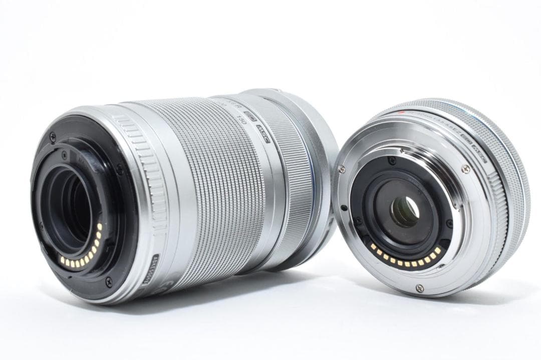 ショット数 660回！ OLYMPUS PEN E-PL10 ダブルレンズ