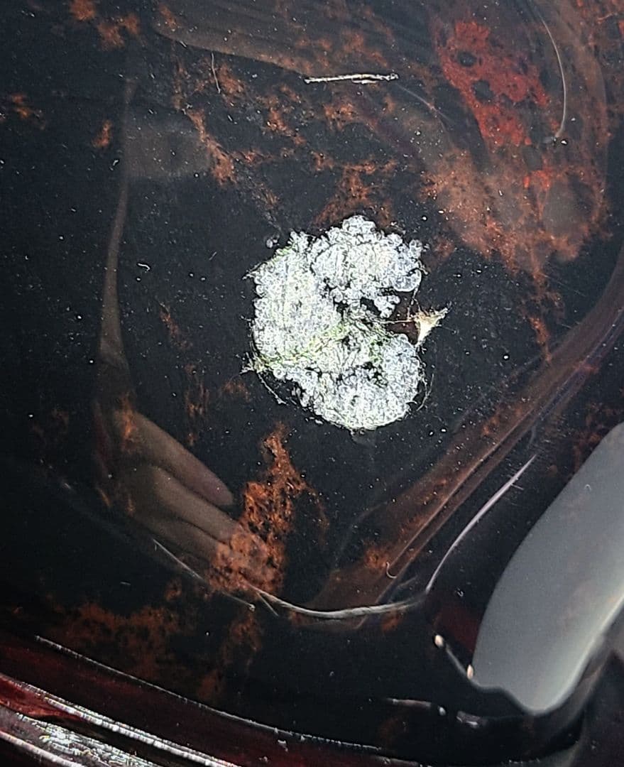 【超希少/日本名石】十勝石【ヴァーミリオンオブシディアン】紅十勝