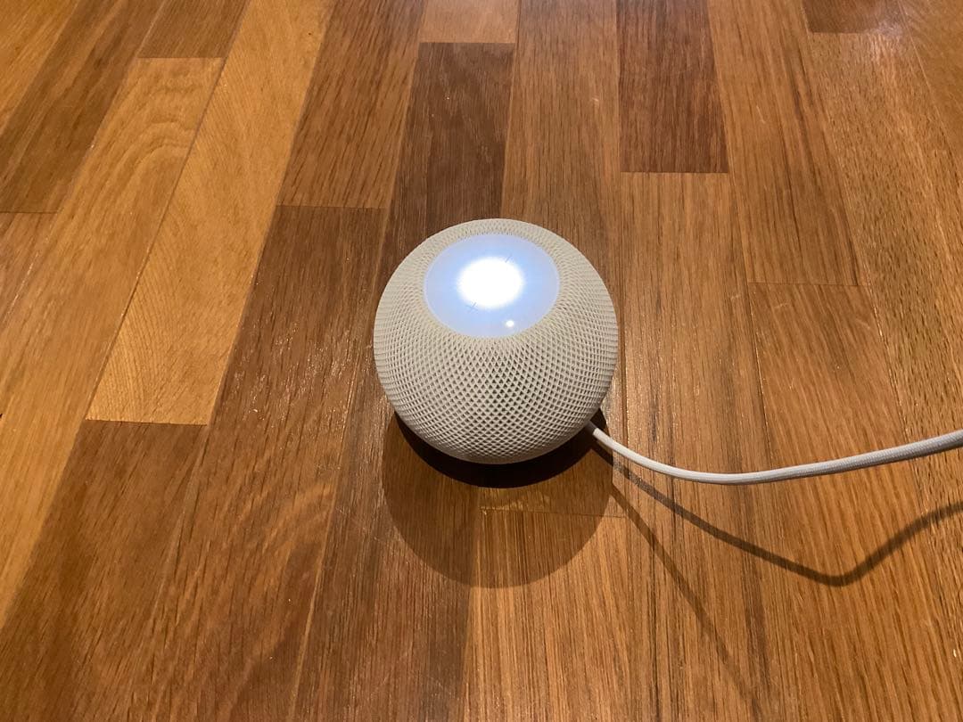 Apple Pod mini ホワイト MY5H2