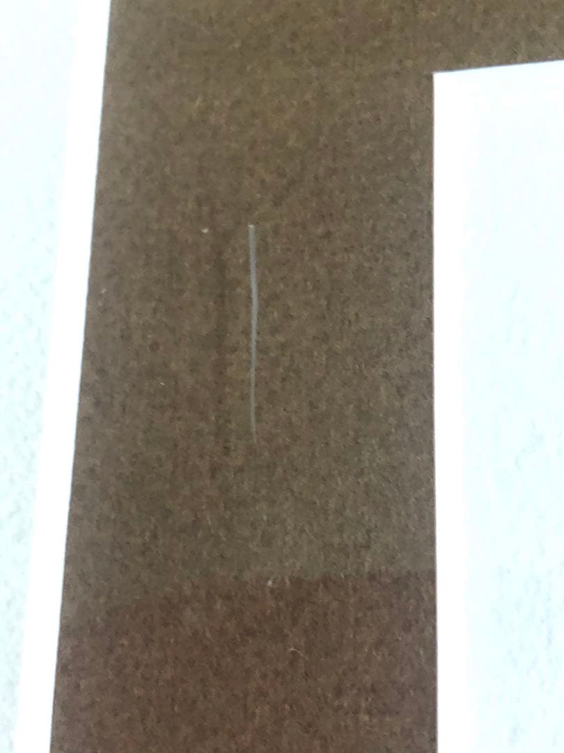 超貴重！【非売品】ウォルトディズニー100th アートフレーム