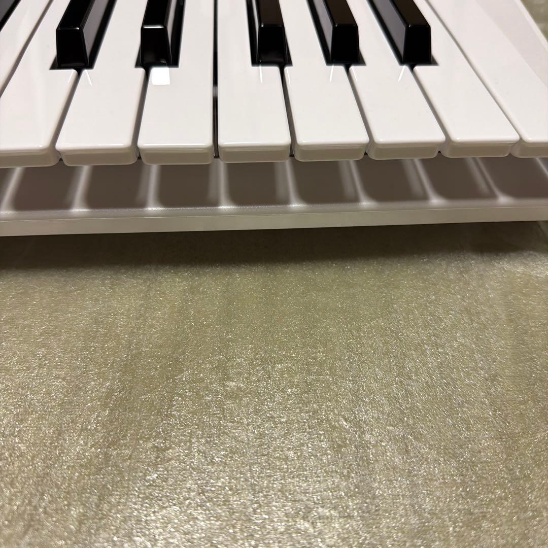 【新品未使用】KORG KingKORG NEO
