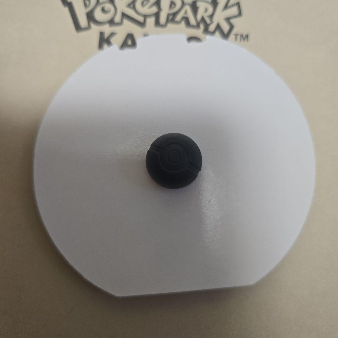 ポケパーク カントー ピンバッジ サンダー