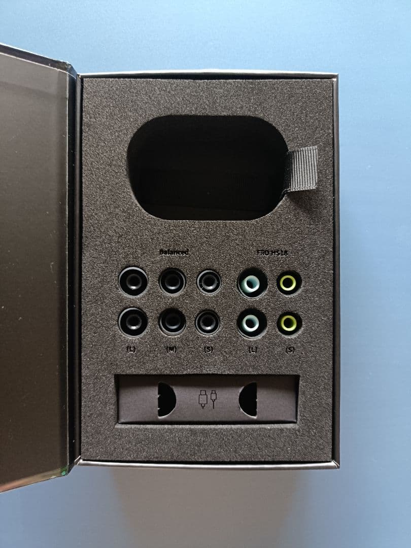 【teburasuki】FIIO FW5 ワイヤレスイヤホン(国内正規品)