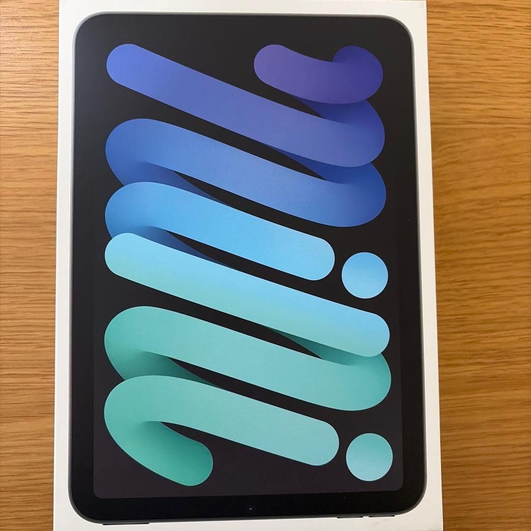 Apple iPad mini(A17 Pro) ➕備品