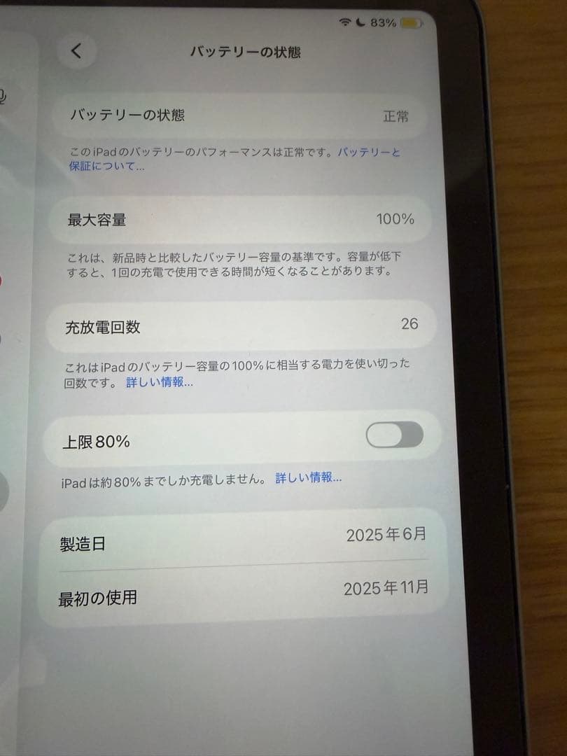 Apple iPad mini(A17 Pro) ➕備品