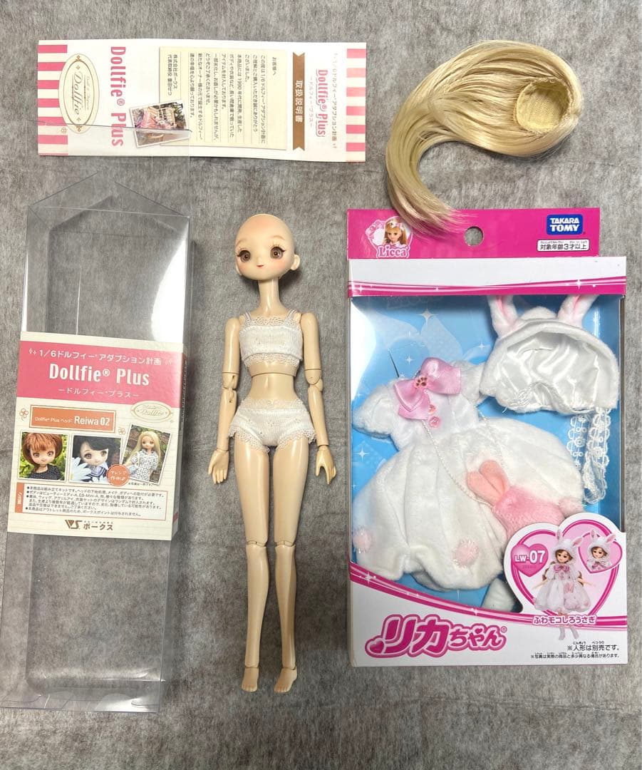 ボークス　1/6 ドルフィープラス　Reiwa 02