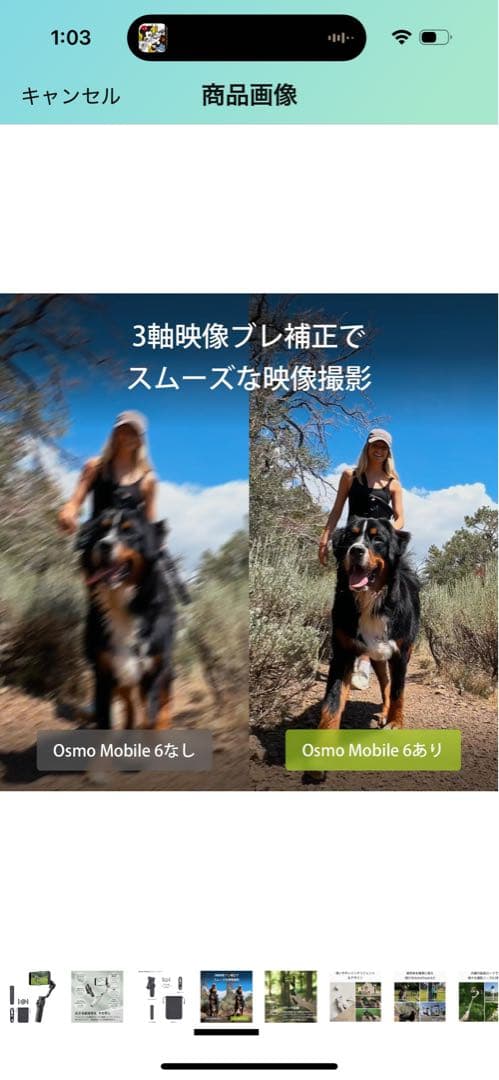 Osmo Mobile 6 スレートグレー