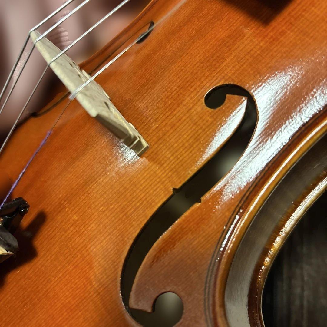 Roderich Paesold 806 バイオリン 4/4