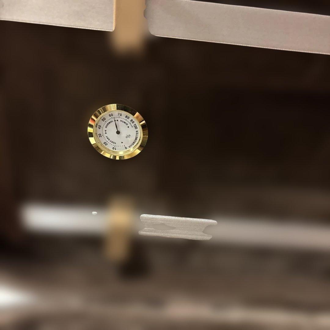 Roderich Paesold 806 バイオリン 4/4