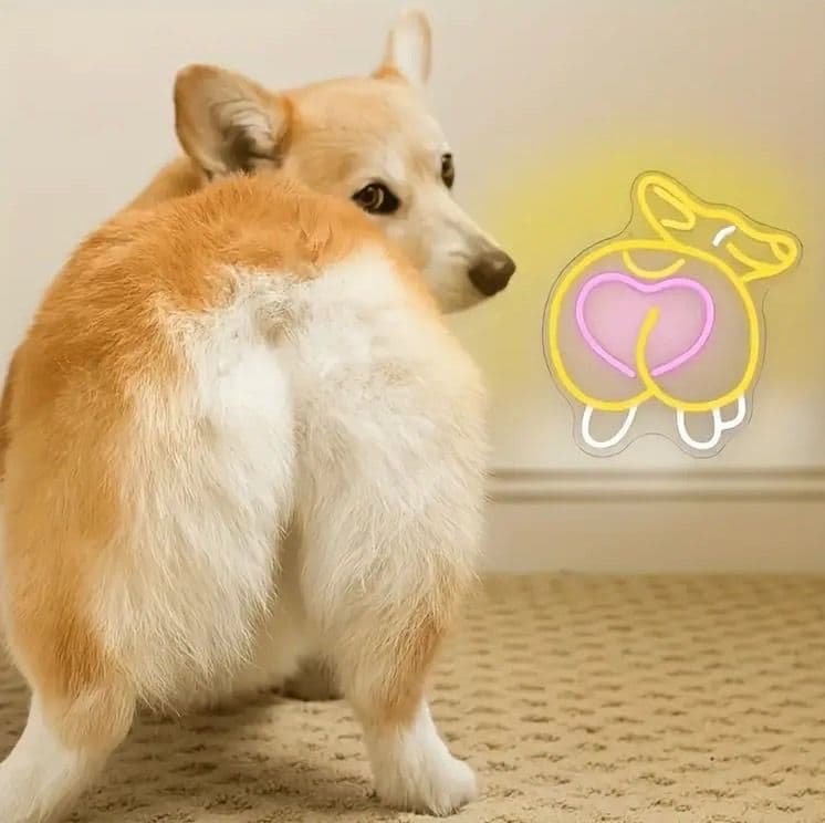 ネオンサイン コーギー ペット ネオンライト LED かわいい
