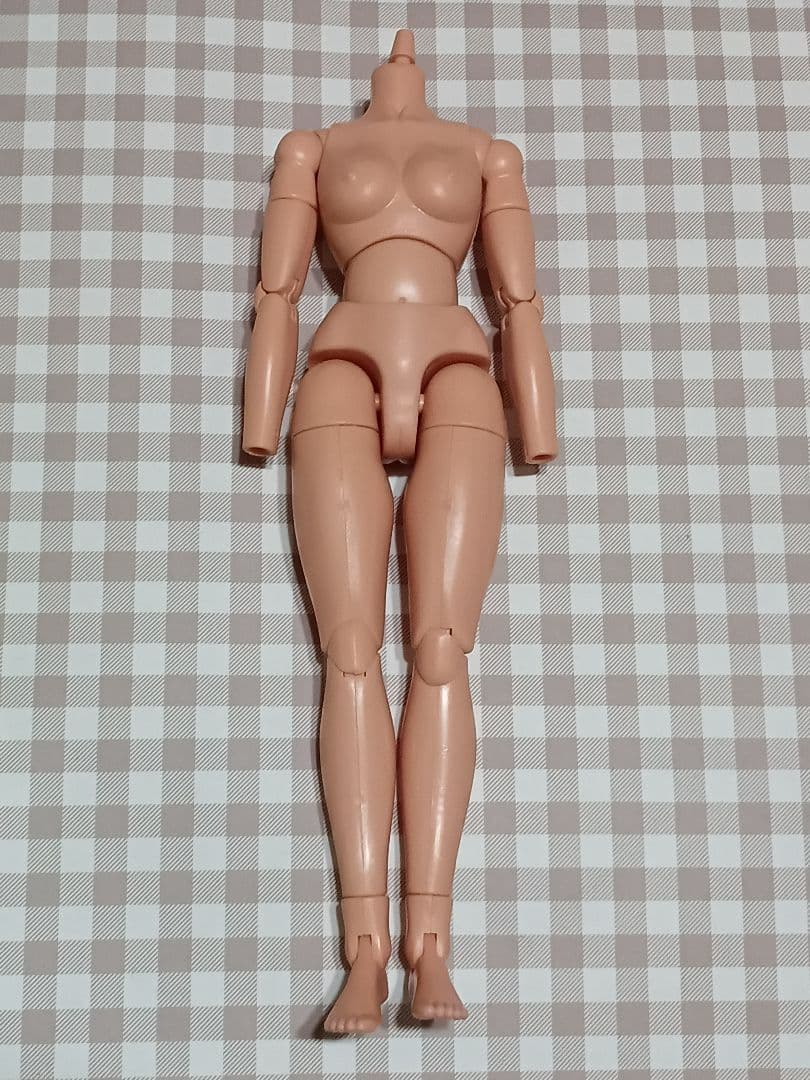 1/6 ミリタリー レディースミッション フィギュア 素体＋装備セット①