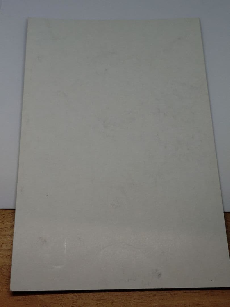 ドラゴンボール　20弾　カードダス　カードゲーム　台紙　販促