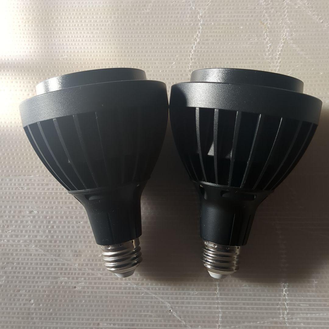 Haru Design　ライトスタッフ　植物育成ライト　アガベ　多肉　盆栽