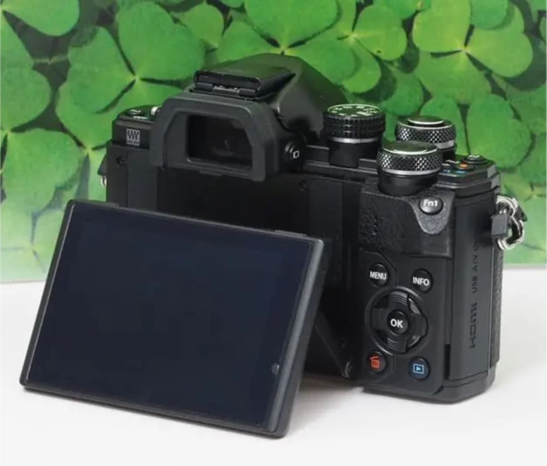 【美品】Wi-Fi＆高速連写OM-D E-M10 Mark II ダブルレンズ