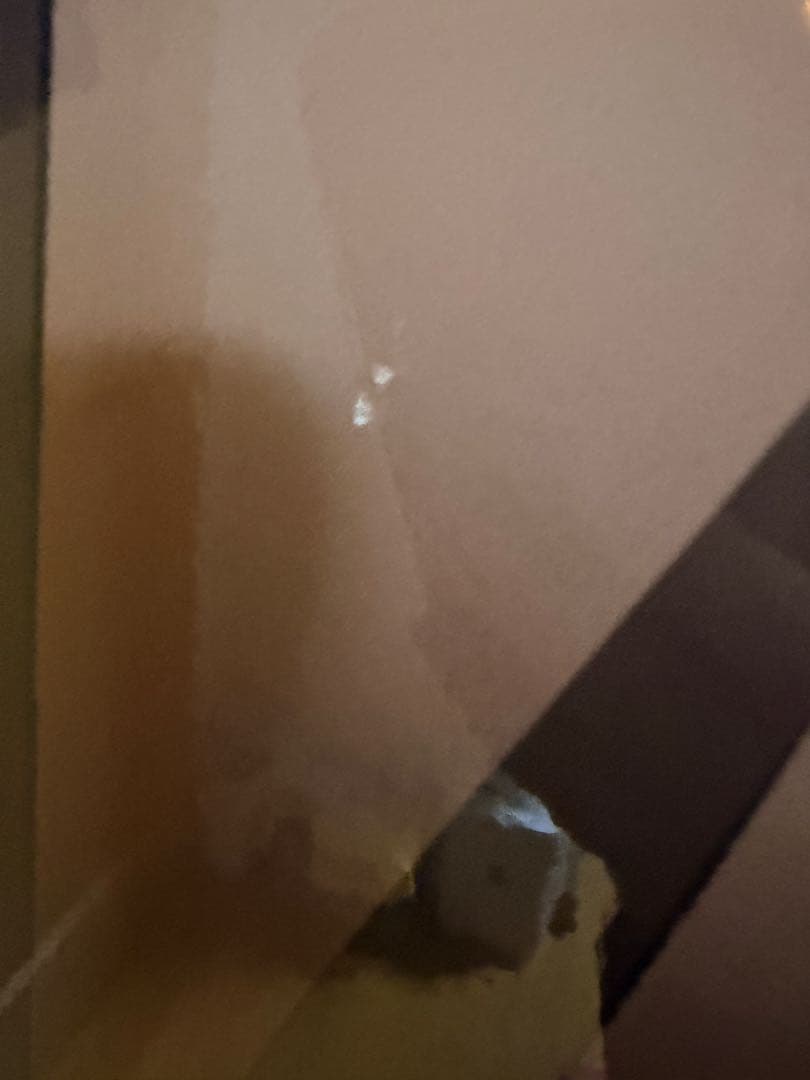 僕のヒーローアカデミア　ヒロアカ 轟焦凍 等身大スタンディ＊等身大パネル