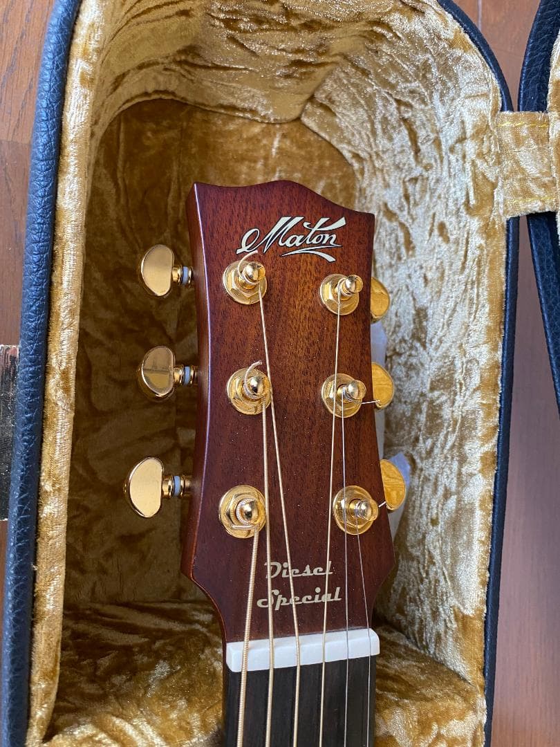 Maton EMD-6 Diesel Specialメイトンミニ中古シールド加工