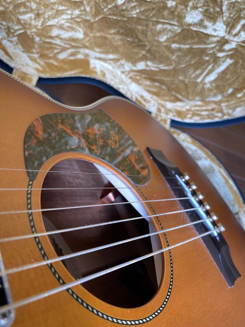 Maton EMD-6 Diesel Specialメイトンミニ中古シールド加工