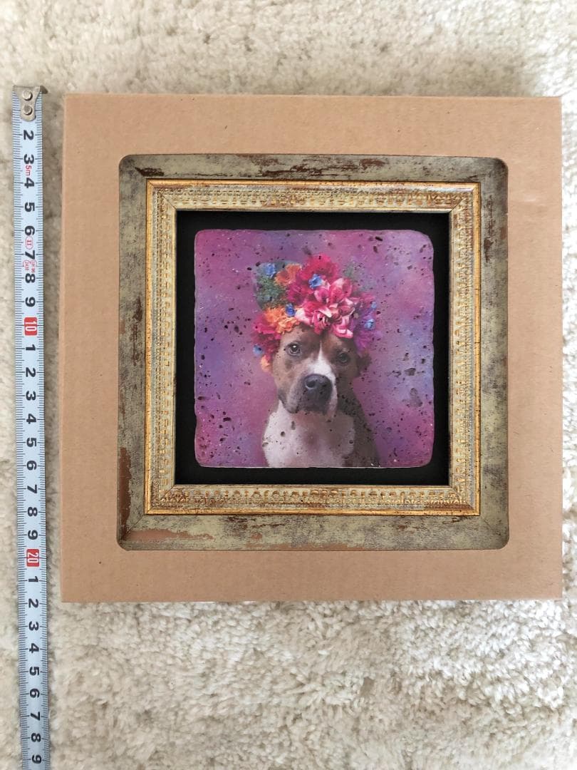 イギリス　ロンドン　Camden town　ナチュラルストーン　絵画　ボクサー犬