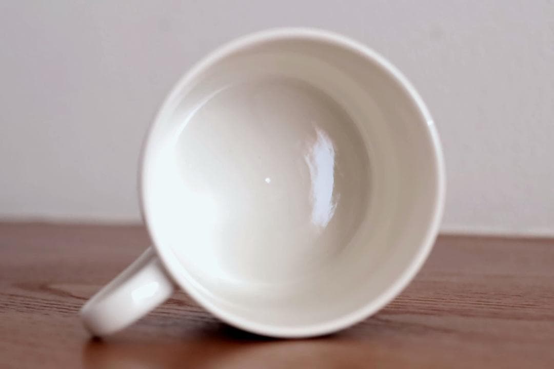 ロールストランド Anemon アネモン コーヒーカップ&ソーサー b