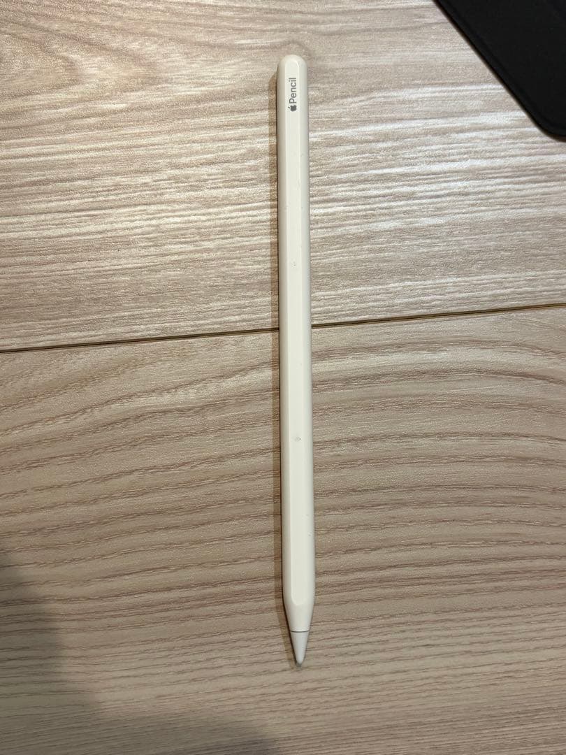 iPadpro 11インチ 第4世代【256GB】ApplePencil.ケース